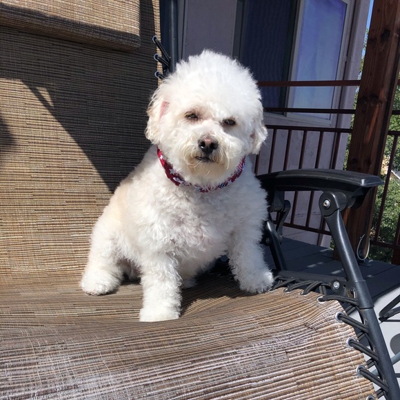 Meet your Posher - Picture 2 of 3